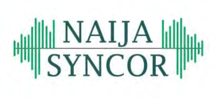NaijaSynCor logo